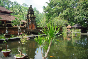 Bali style garden