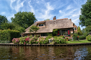 English Cottage Garden