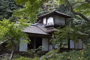 Japanese Styles Garden